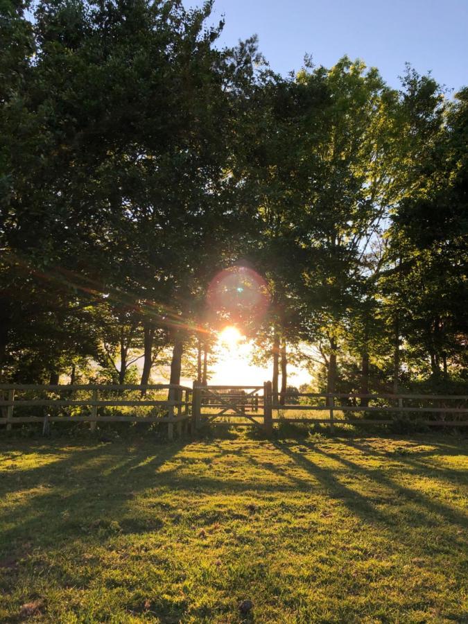 Nine Acres, Peaceful Luxury tent *