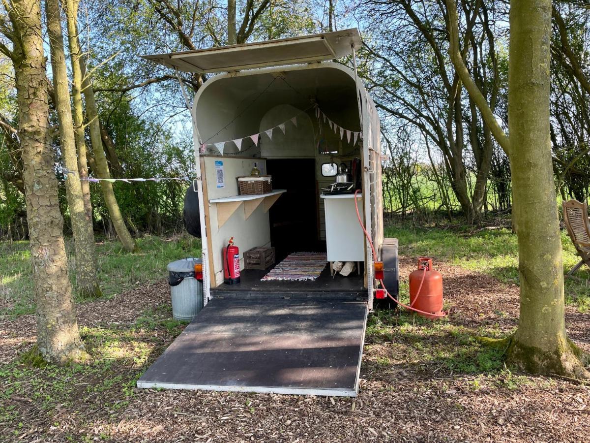 Nine Acres, Peaceful Luxury tent