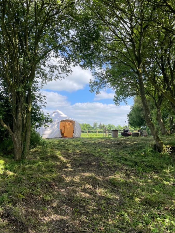 Nine Acres, Peaceful Brackley (Northamptonshire)